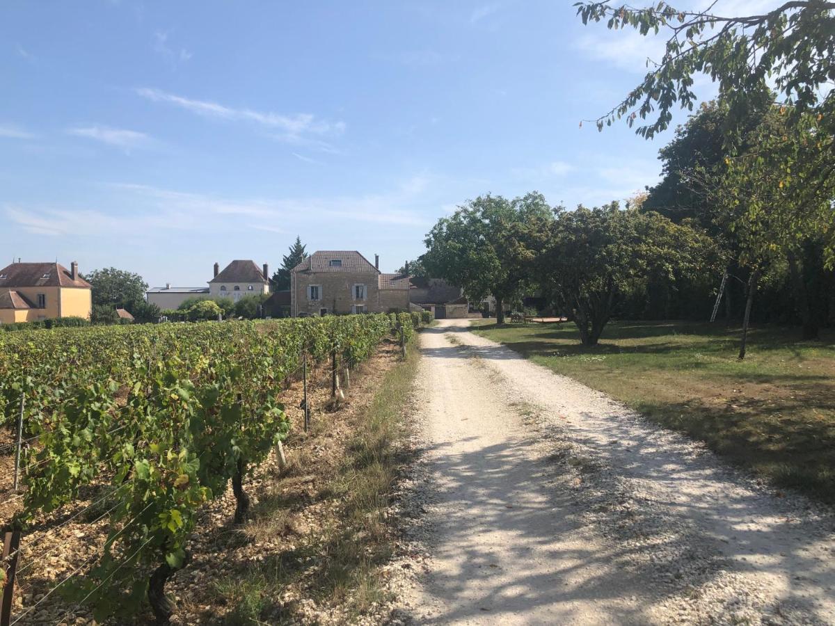 Maison De Pauline, Chablis Vineyard Préhy Exterior photo