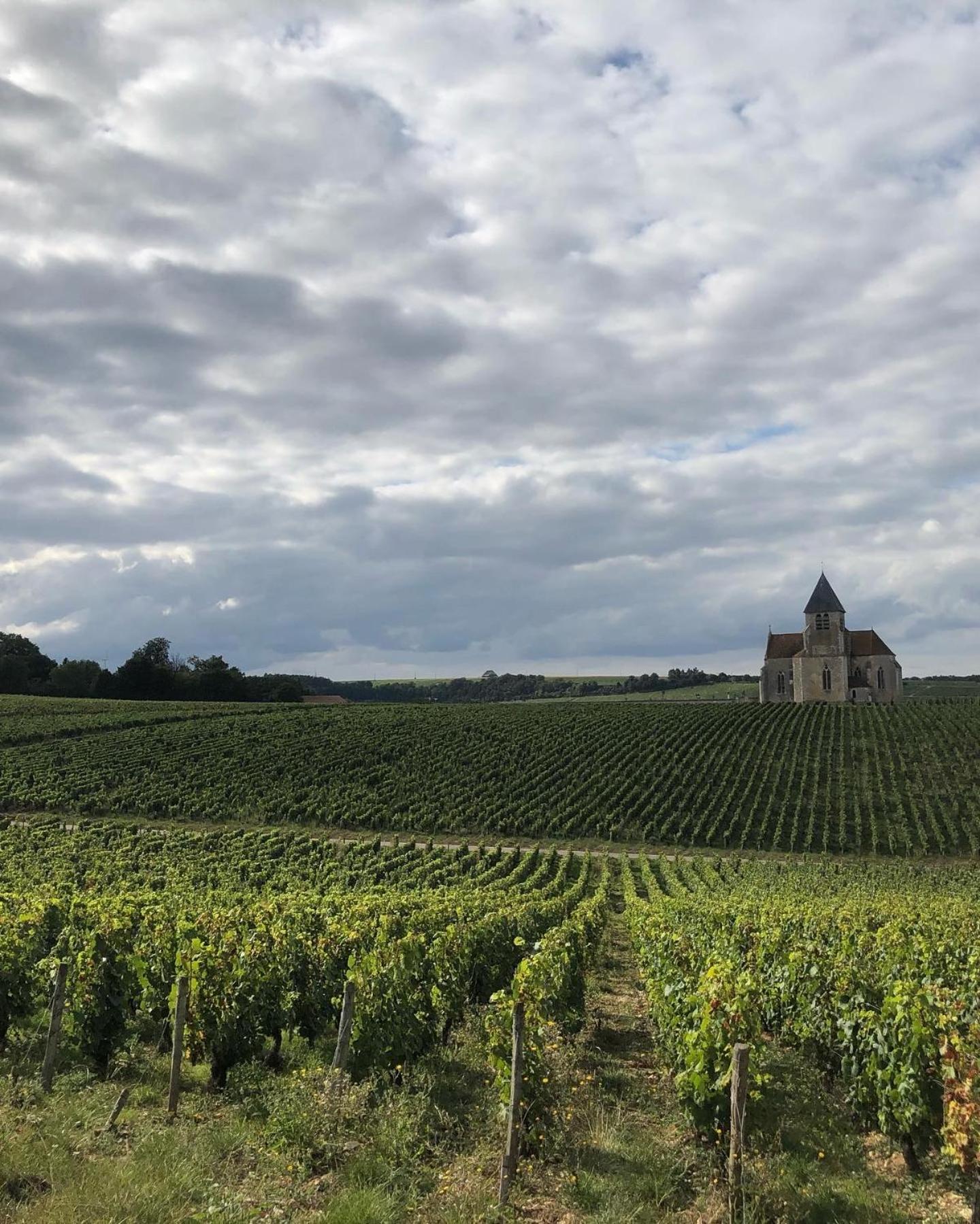 Maison De Pauline, Chablis Vineyard Préhy Room photo
