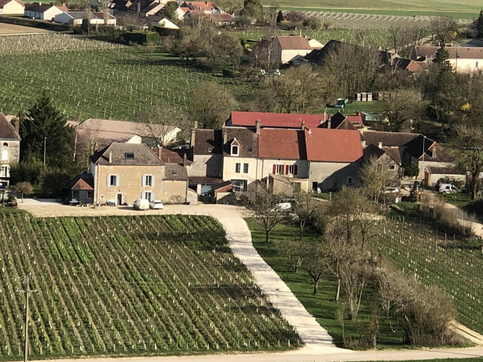Maison De Pauline, Chablis Vineyard Préhy Exterior photo